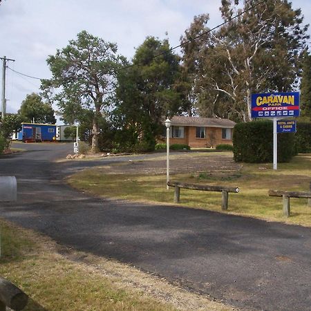 Bega Caravan Park Exterior foto